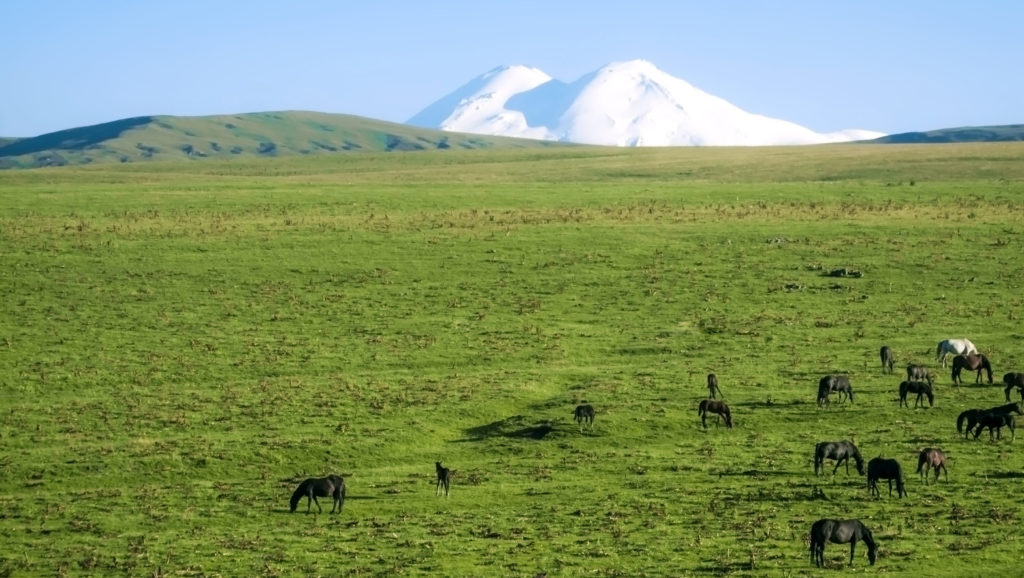 7 советов, что и как красиво фотографировать на Кавказе