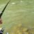Летняя рыбалка на горной реке Подкумок в Пятигорске