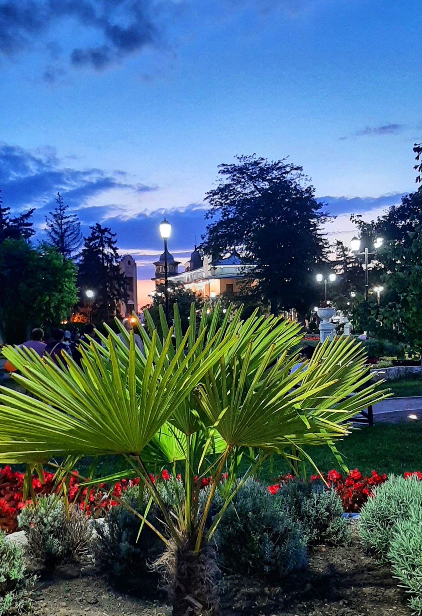 Интернет и мобильная связь в Пятигорске и регионе КМВ – Туристический ...