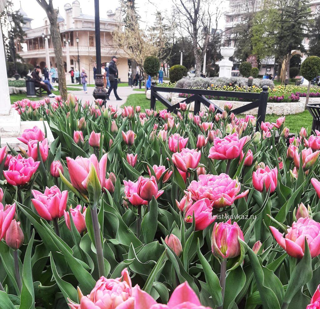 Весна в Пятигорске. Море цветов, туристов и отдыхающих