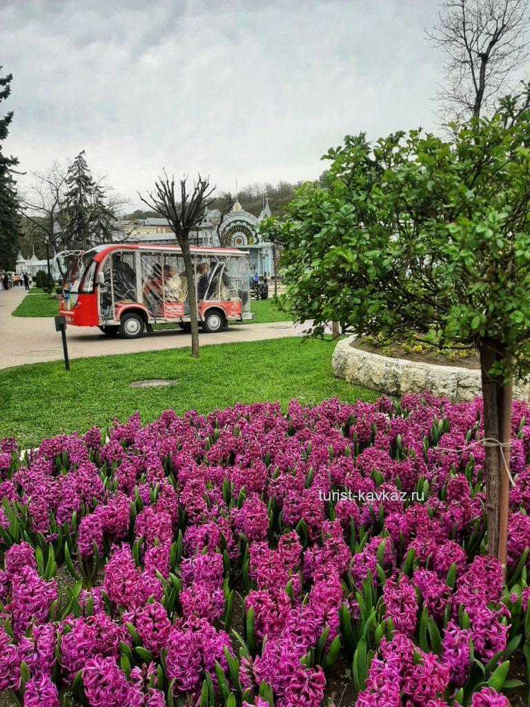 Весна в Пятигорске. Море цветов, туристов и отдыхающих